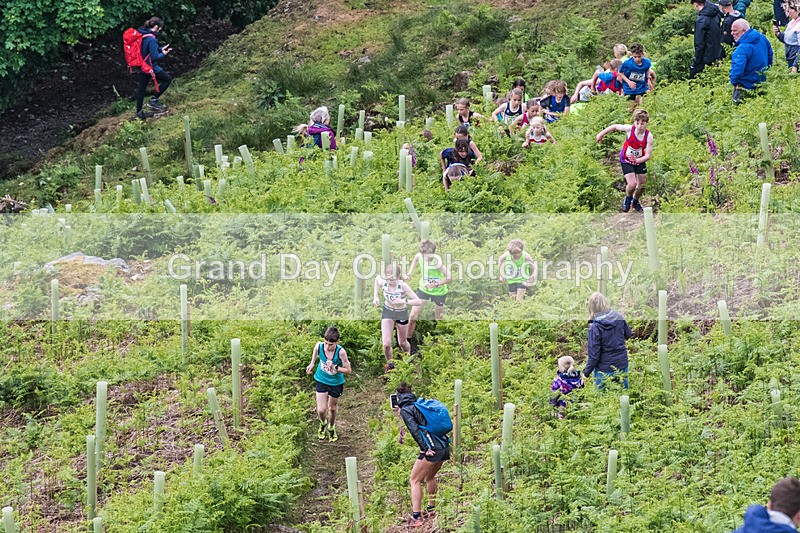 Coniston Juniors-61 - Coniston Gullies Junior Fell Races Sunday 25th May 2025