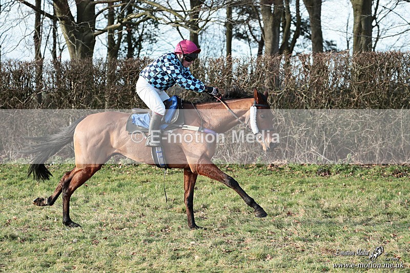 PtP 240126 646 - Cambridgeshire & Enfield Chase PtP Horseheath 24/01/26