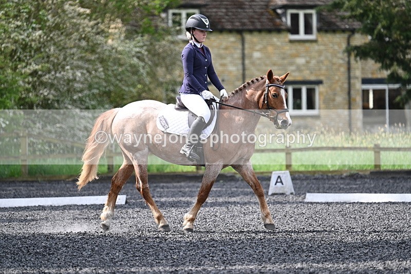 WJ7_8109 - Time 10:11 to 10:27