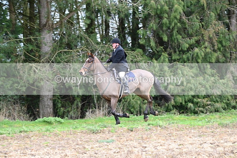 WJ6_9742 - Line Four