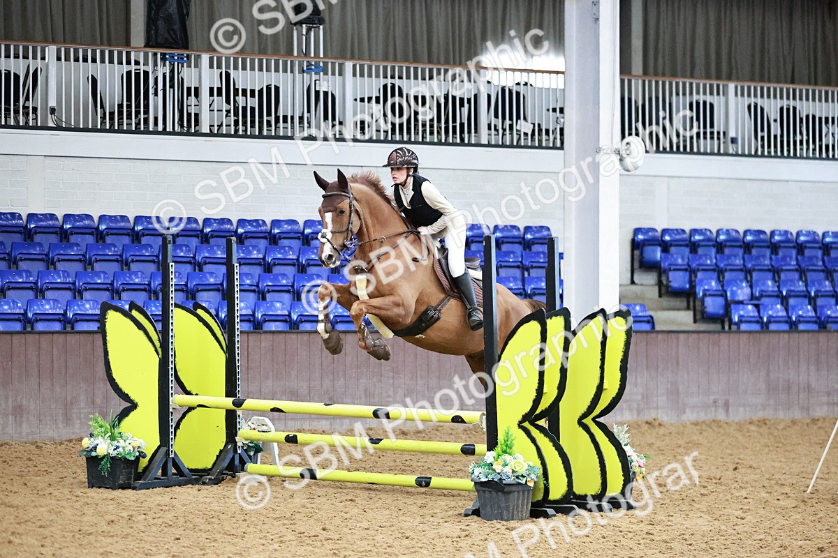 SBM_000113 - Class 1 - Clear Round Show Jumping 80cm