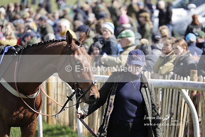 PtP 100423 483 - Old Berkshire Point-to-Point Lockinge 10/04/23