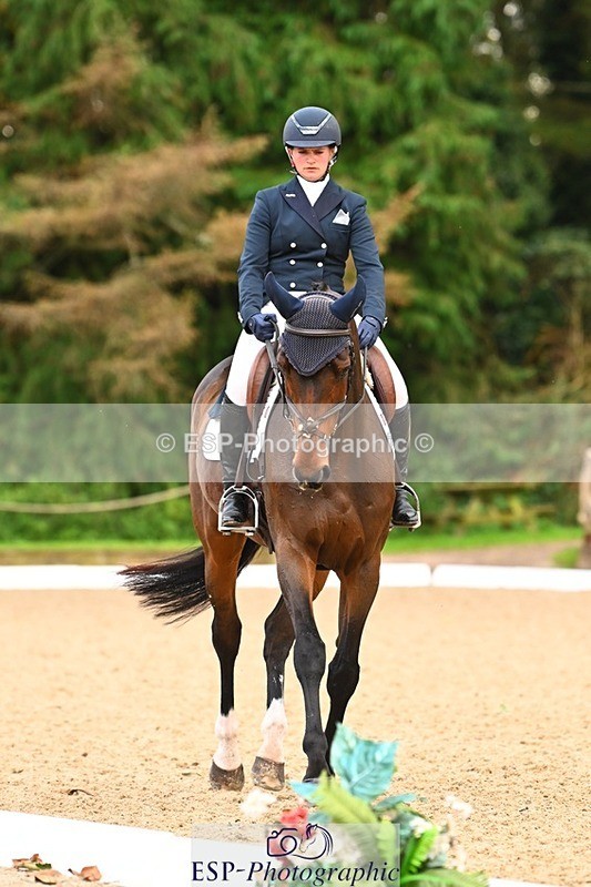 231020-150615-10086 - 312-HALVANNA.THE.LAST.SONG-Holly.Horton-DR