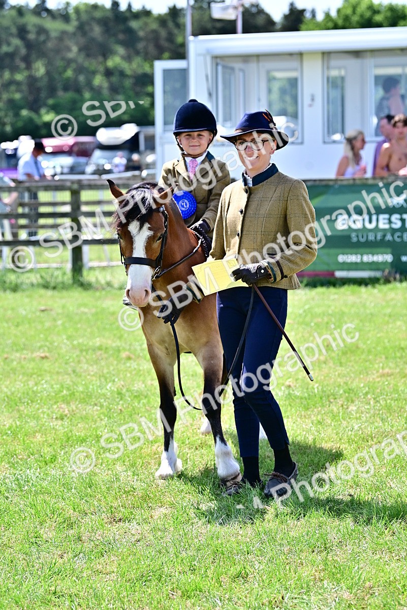 SBM_05980 - Class 59-60 - TSR M&M  Lear Rein and First Ridden Amateur of the year