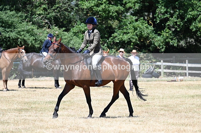 WJ7_3067 - Class 7 Riding Club Show Horse