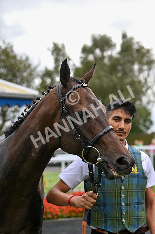 250824-Race 2-Ludos Landing-3016 - Race 2