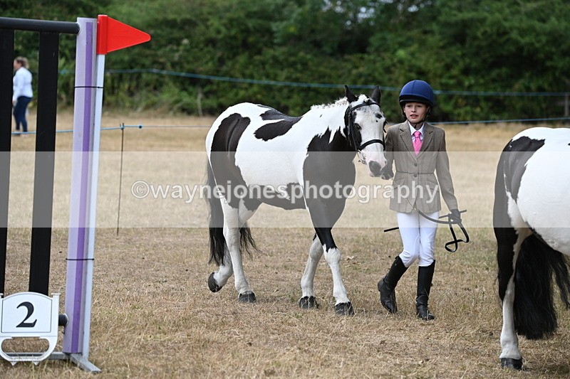 WJ6_7917 - Class 10 Coloured in Hand