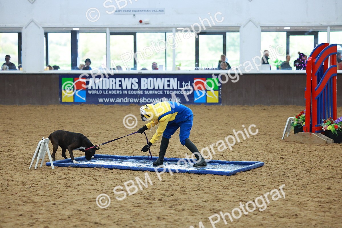 SBM_002259 - Class 3 - Horse & Hound (60cm)