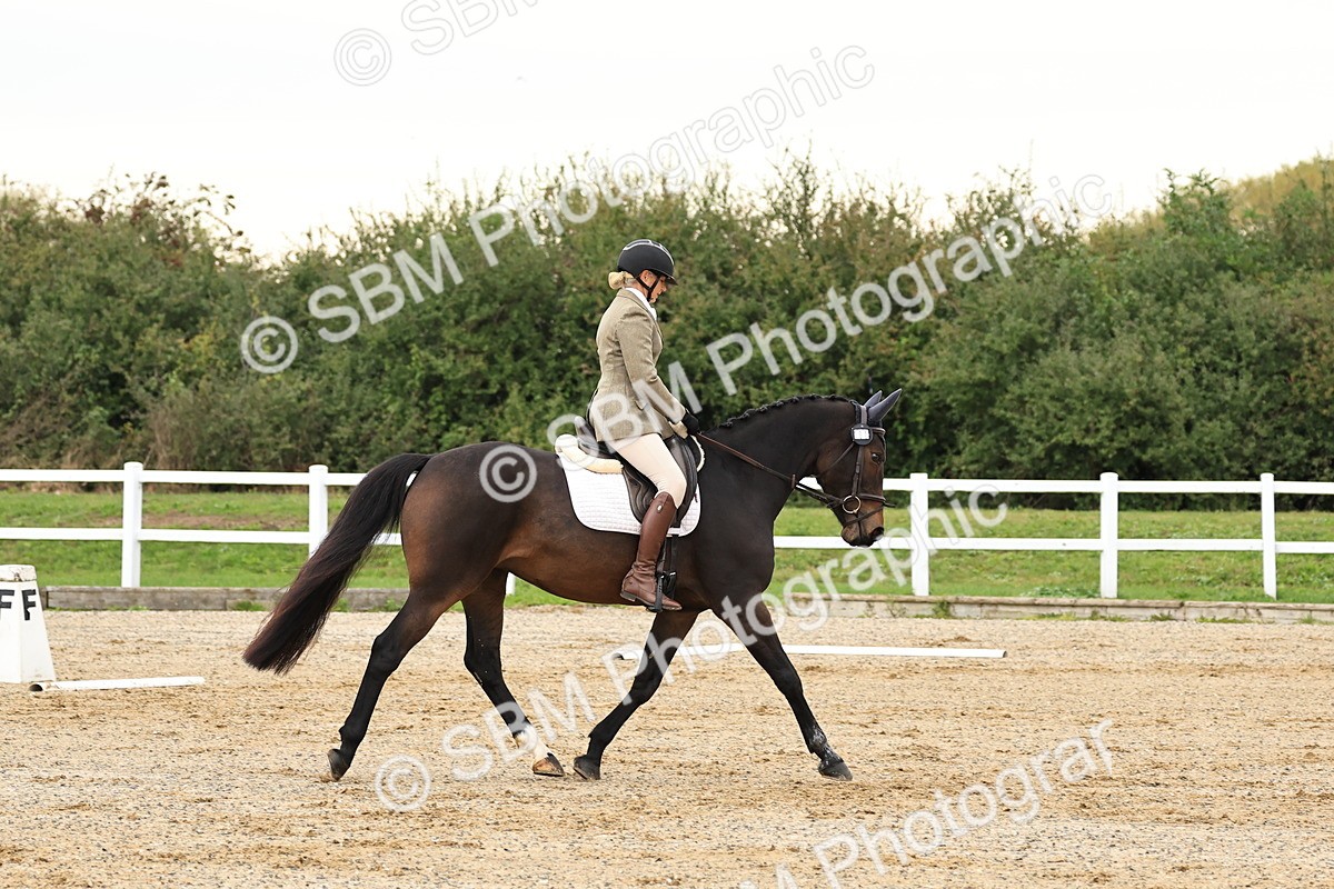 SBM_000204 - Prelim 2
