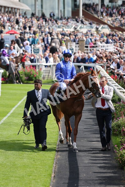 yr18082021r4-39 - Race 4 3.35pm Juddmonte International Stakes (British Champion Series race)