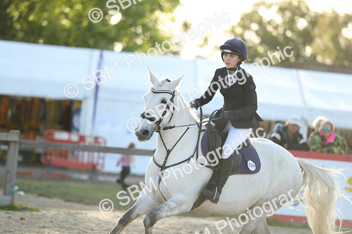 SBM_54171 - J23 - Junior Horse 70cm Championship