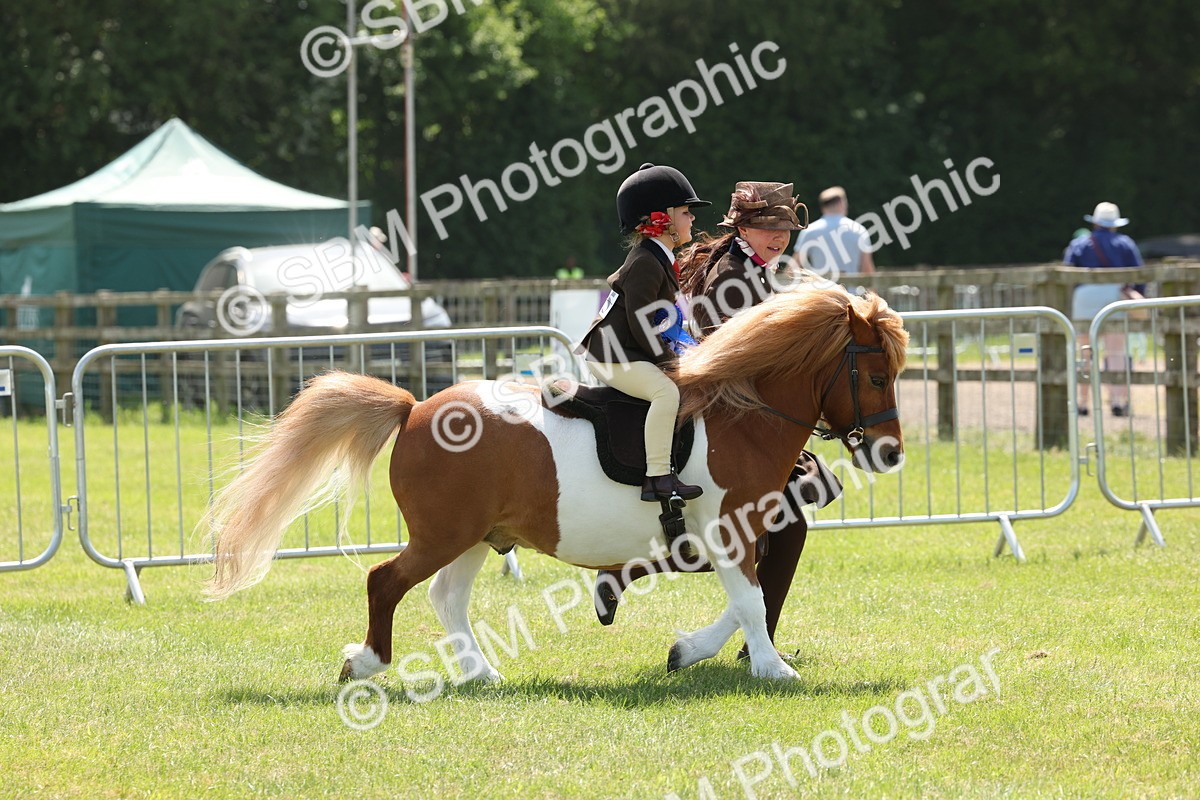 SBM_05431 - Class 24-25 - Mountain & Moorland In Hand Lead Rein and First Ridden