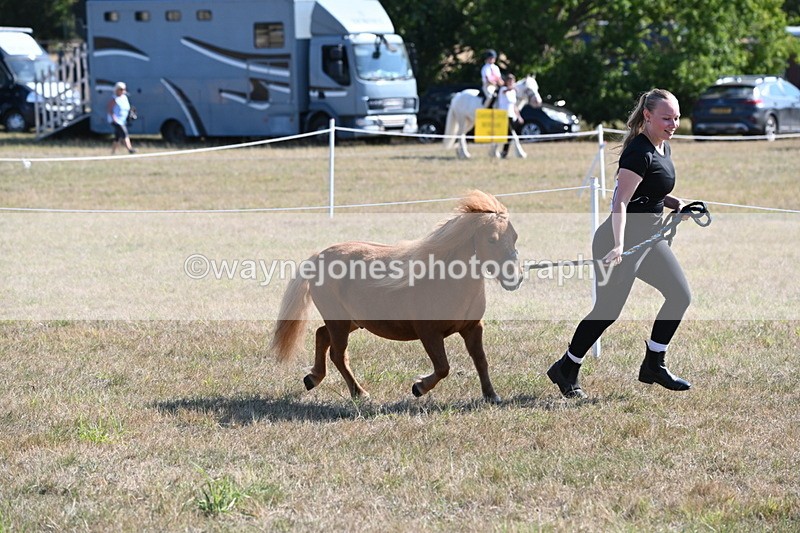 WJ6_7267 - Class 33 Rescue Pony