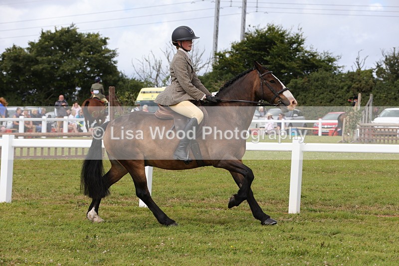 1X9A4082 - Class 32: Show Hunter Pony 153cm and under