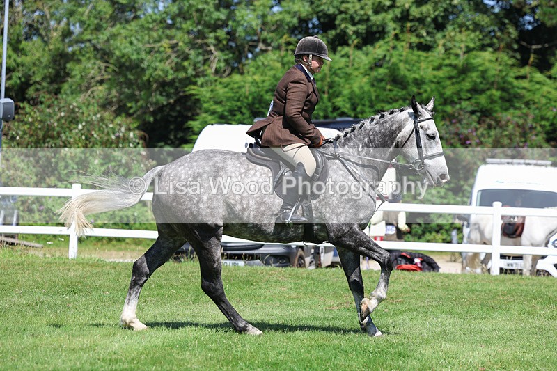 3E7A8953 - Class 6: Open Working Horse