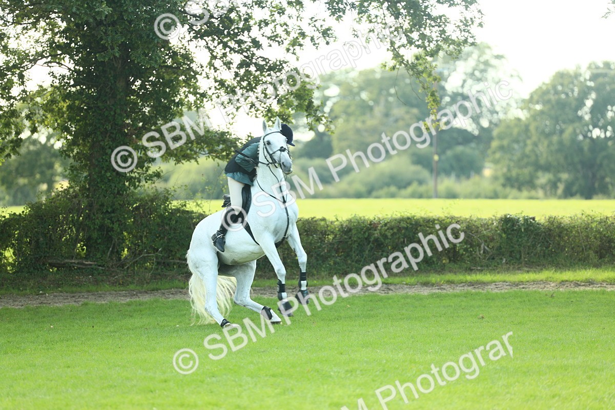 SBM_50577 - S33 - Working Hunter & Working Show Horse