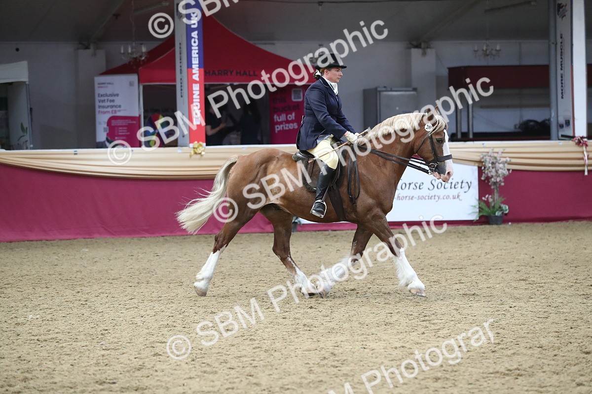 SBM_16452 - Class 502 M&M Ridden Supreme Final
