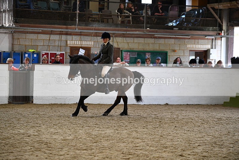 WJ5_6183 - Class 9 Ridden Veteran