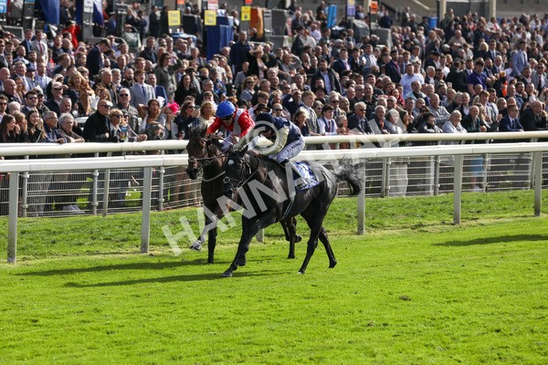 141023-Race 1-Purosangue-0273 - Race 1 1.15pm Coral Rockingham Stakes