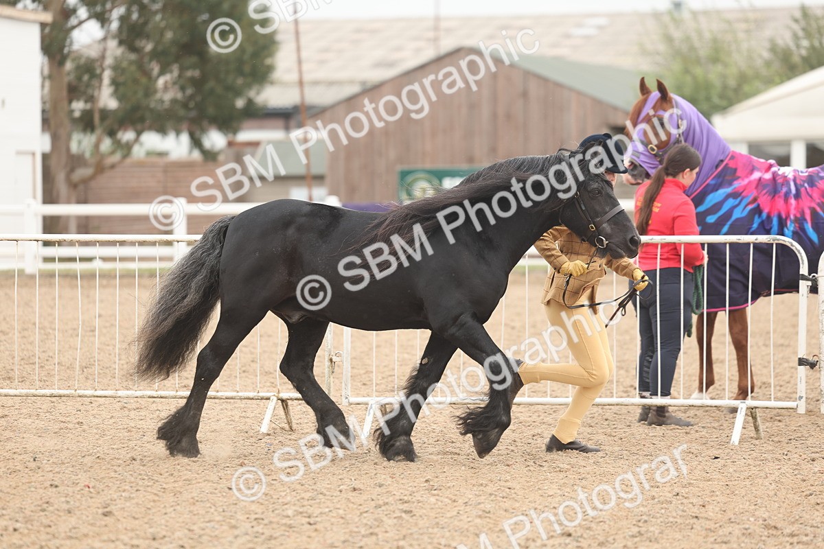 SBM_00478 - Class 13 Young Handler