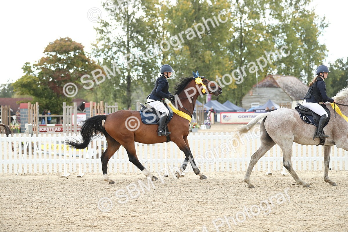SBM_40518 - J21 - Junior Horse 60cm Championship