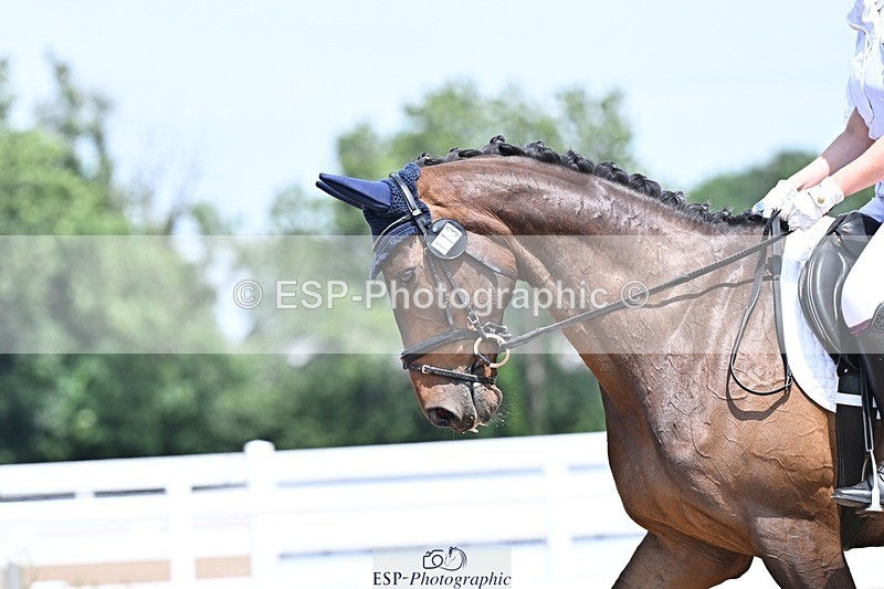250620-124759-03363 - UnA Cls 5+6 - Novice 1+3