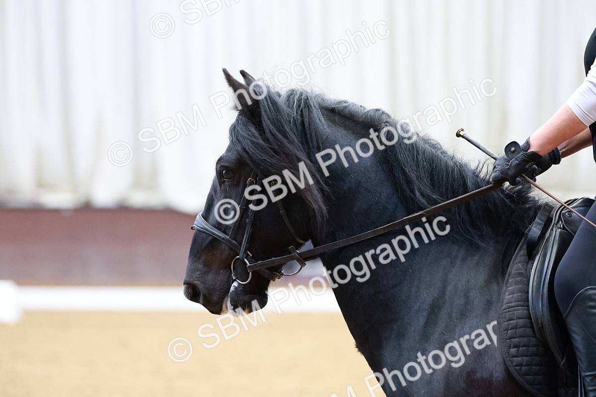 1I0A0794 - Class 3-6 - Prelim 1-Novice 2