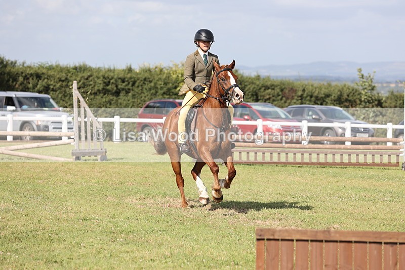 JPP_2745 - Class 20: Working Hunter 70cm