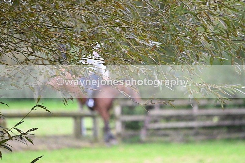 WJ6_7890 - Time at Photographer 13:49 to 14:15