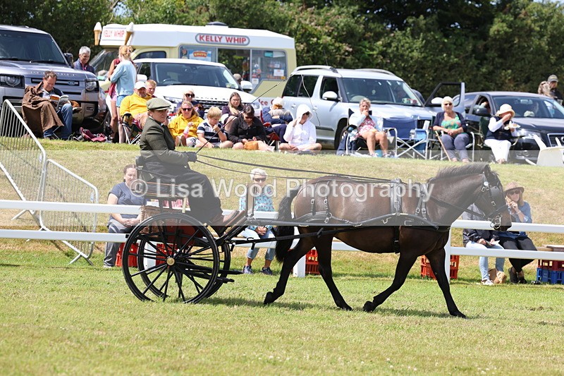 3E7A2670 - Class 12: Open Driving