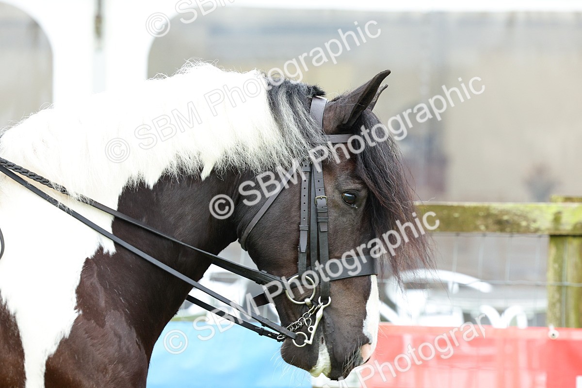 SBM_01085 - Class 1-4 - BSPA Ridden