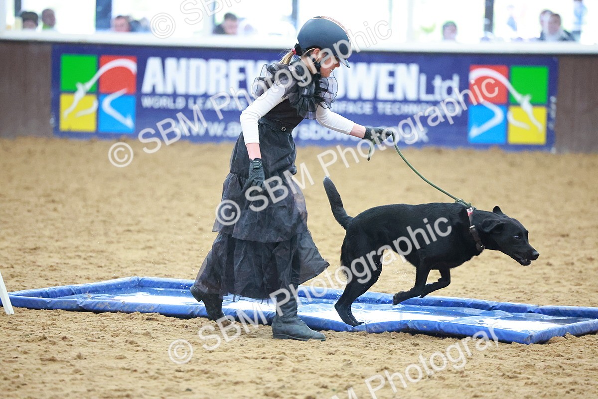 SBM_001561 - Class 3 - Horse & Hound (60cm)