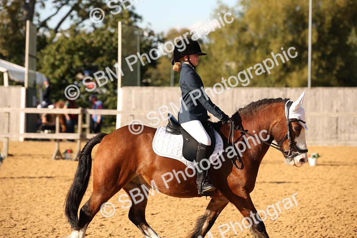 SBM_28344 - D11 - Small Tour Championship - Prelim 13