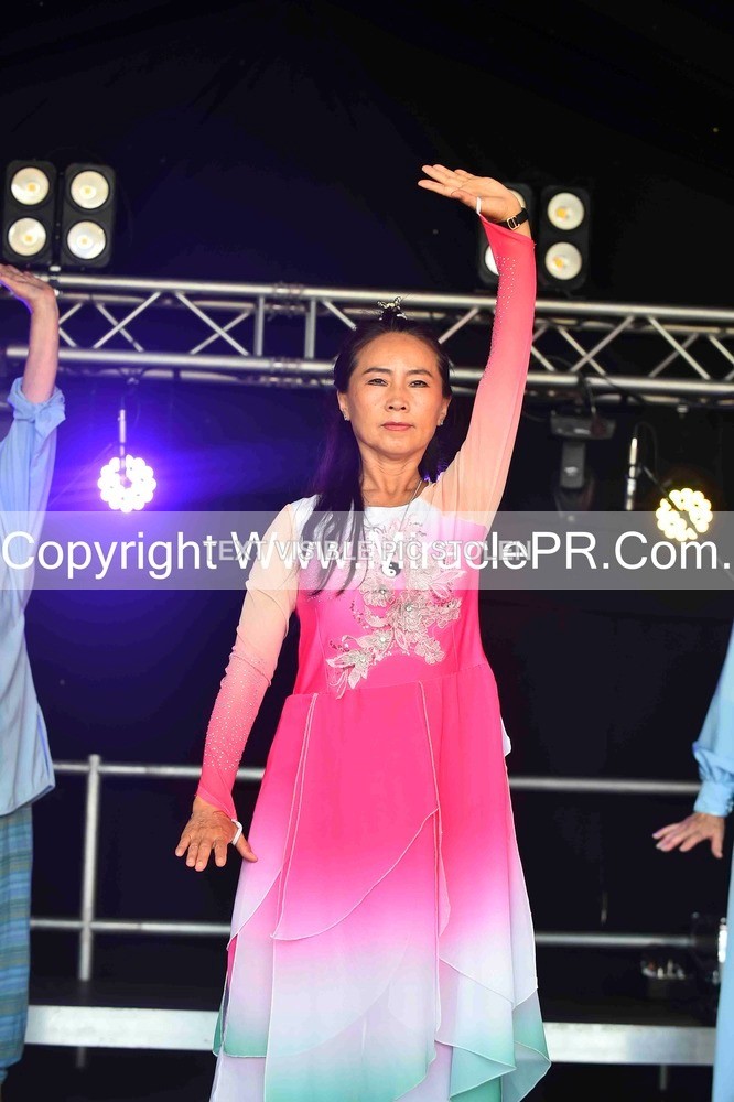SH4_0026 - Tai Chi with Lisa Kay.