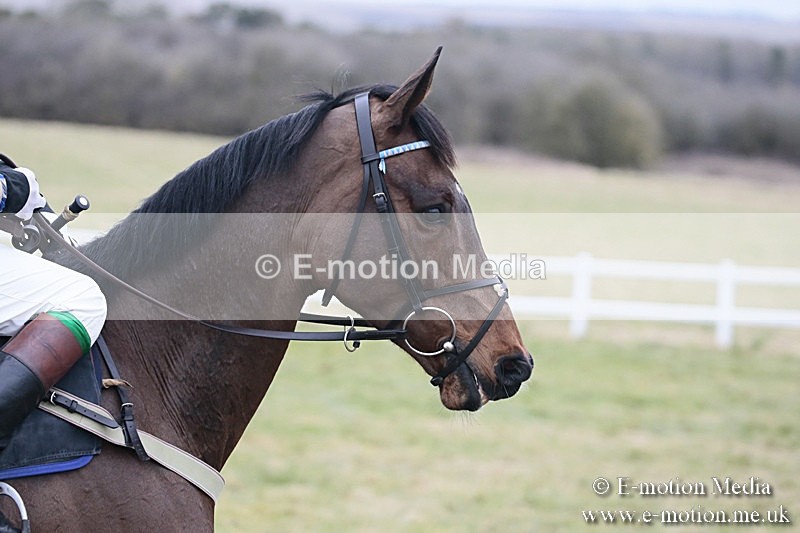 PtP 180218 485 - Combined Services Point-to-Point Larkhill 18/02/18