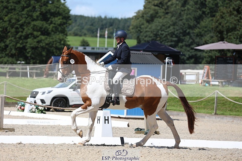 230811-122649-01069 - Cls 1 Prelim Bronze 11.10 to 12.35 break