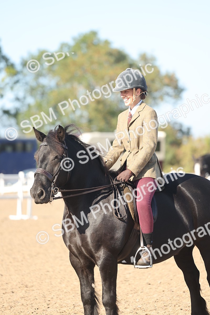 SBM_22163 - Class 802 - Ridden Groom Helpers Class