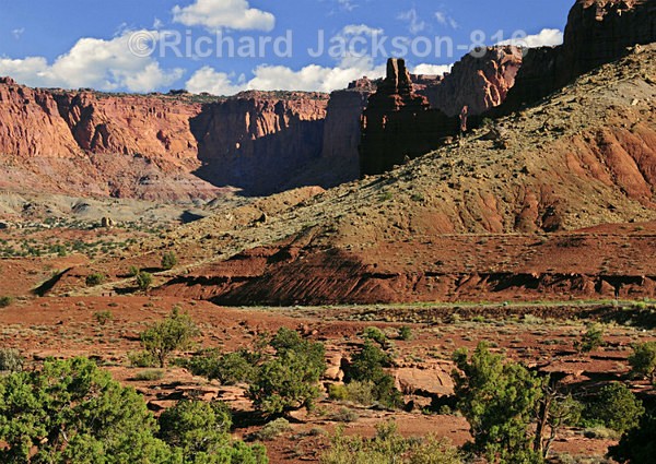 Image - #6 - Capital Reef National Park