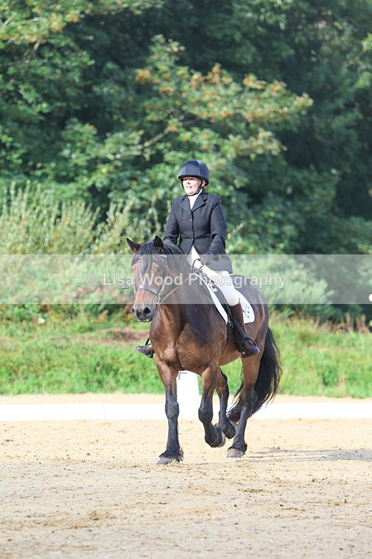 3E7A1877 - Class 1: Intro 4 2024 section A