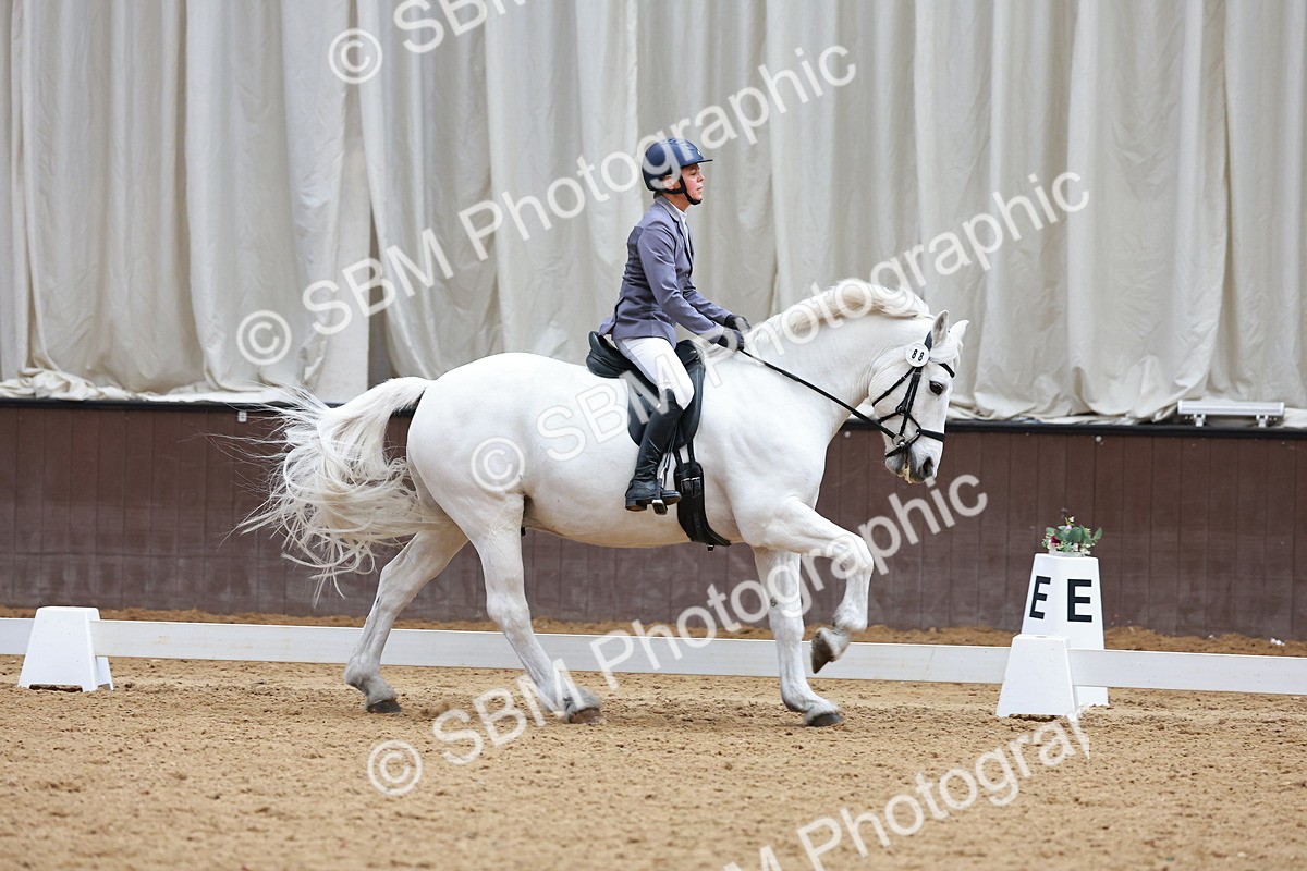 SBM_002411 - Class 6 CT Novice 3