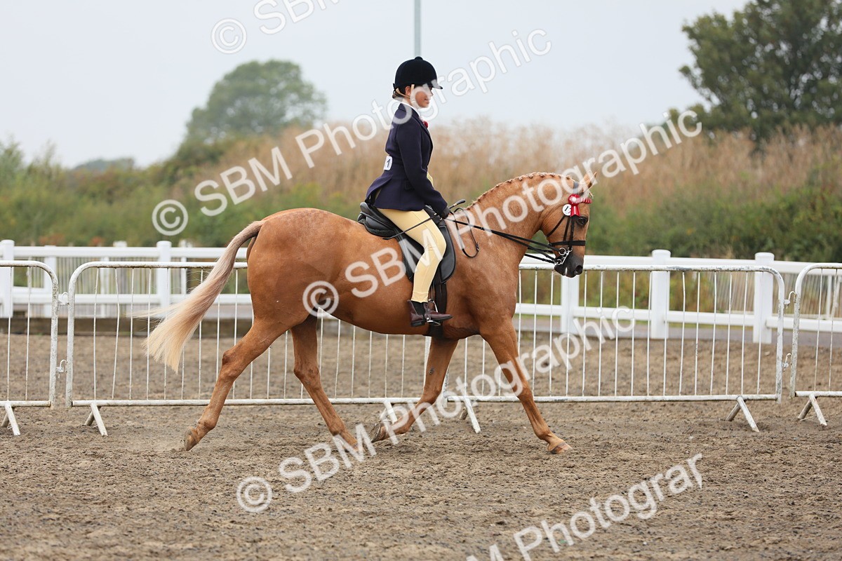 SBM_22295 - Class 807 - Young Rider 11 to 16 Yrs
