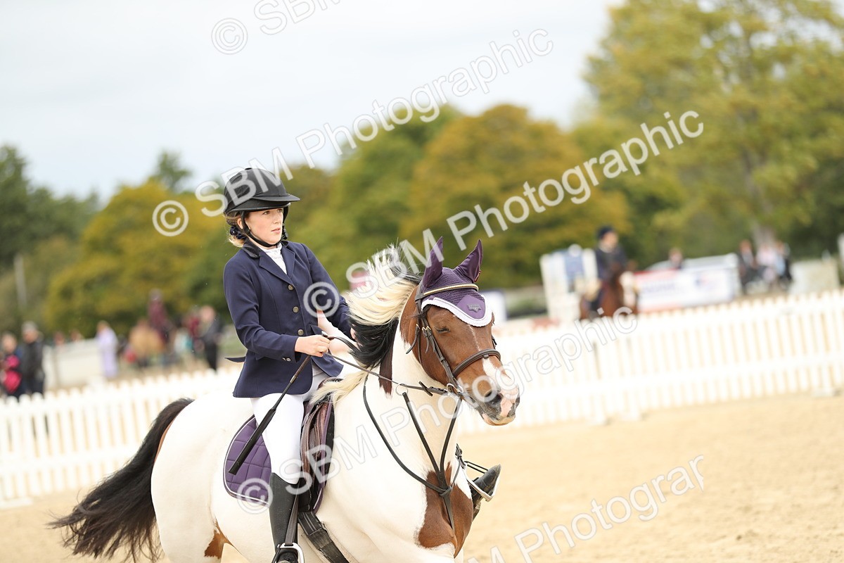 SBM_65669 - J48 - Pairs Jumping Open 70cm & 85cm