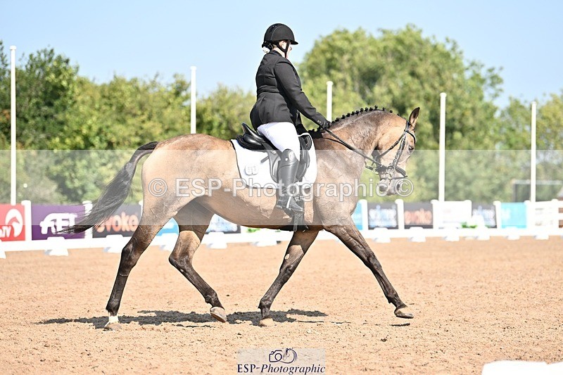 250816-105325-03227 - 093-Jocelyn.GilmoreSpring.lily