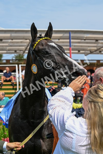 260725-Race 3-Royal Champion-0554 - Race 3 2.40pm Sky Bet York Stakes