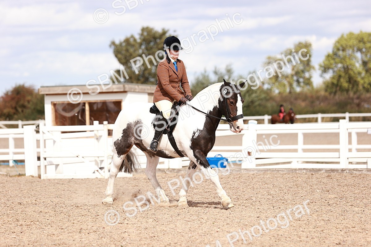 SBM_14484 - Class 410 - Grassroots Ridden - Horse
