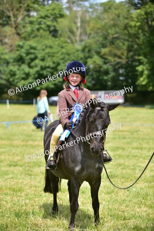 20260614-1404 - Class 11b - Lead Rein Pony (Plaited)