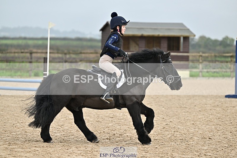 241110-112017-00402 - 50-55cm Arena Eventing