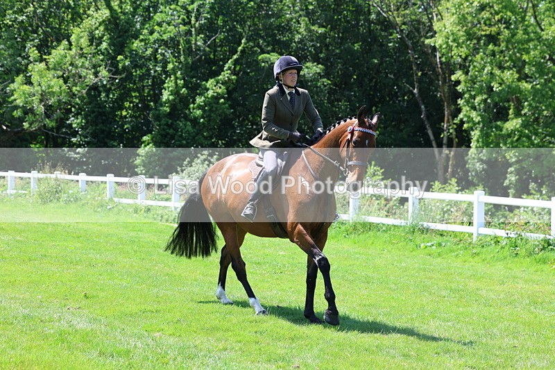3E7A7512 - Class 31: Working Hunter Cob/Riding Horse