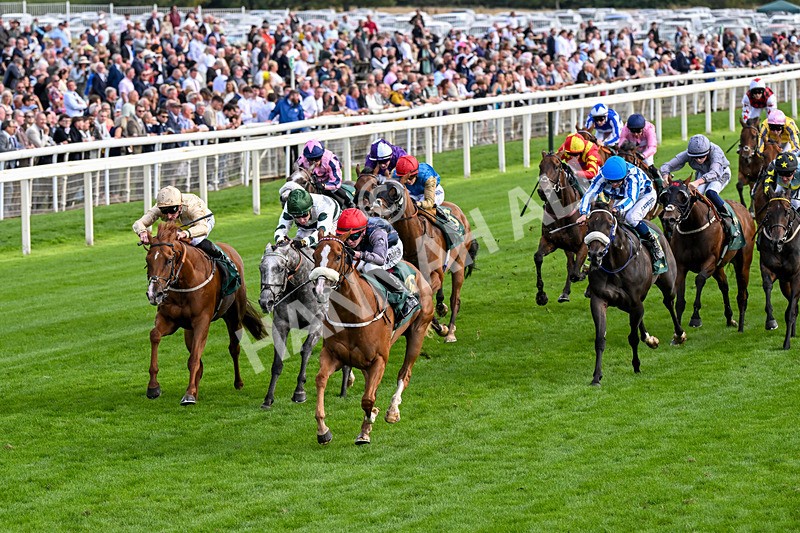 190826-Race 6-Miss Yechance-0711 - Race 6 16.45pm Irish Thoroughbred Marketing Handicap