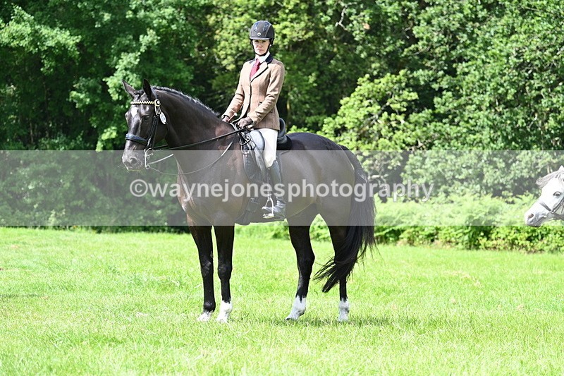 WJ7_1323 - Class 11 Condition & Turnout